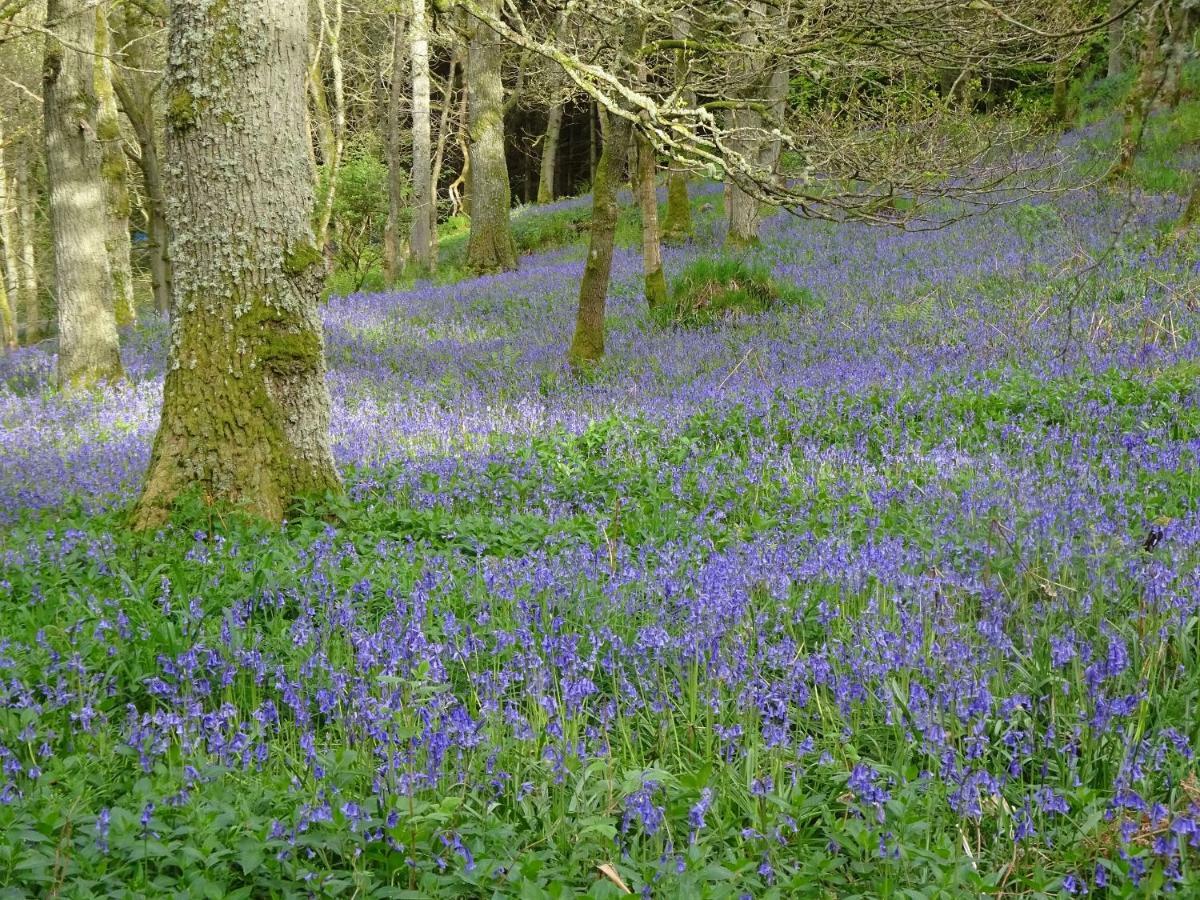 Elibank House B&B Walkerburn Exteriér fotografie